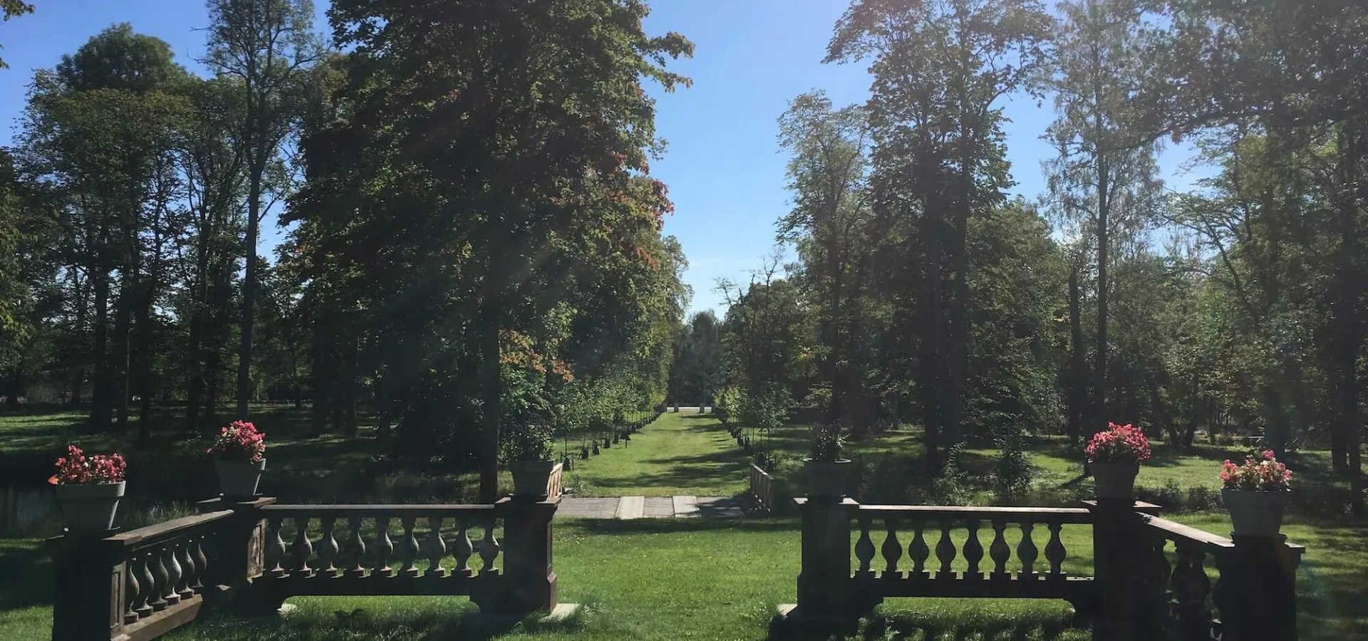 Sommarlunch i parkmiljö