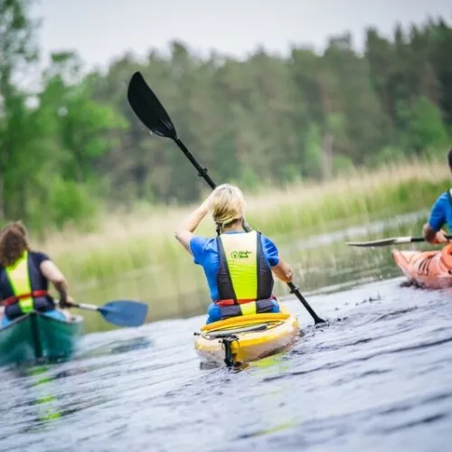 Paddling bakifrån tre kanoter