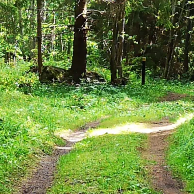 Stig i skogen Axmar bruk - Foto Föreningen Hyttan