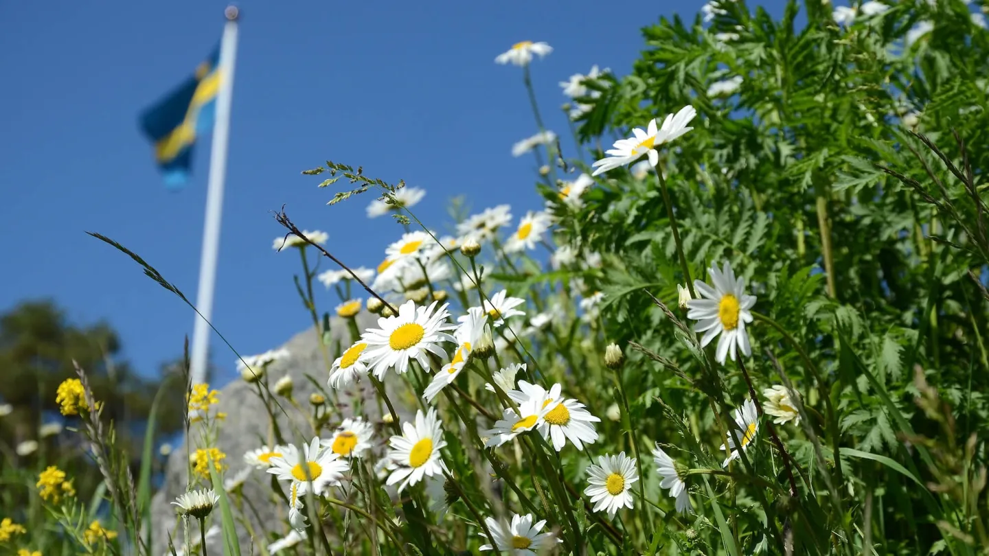 Midsommar i Sverige