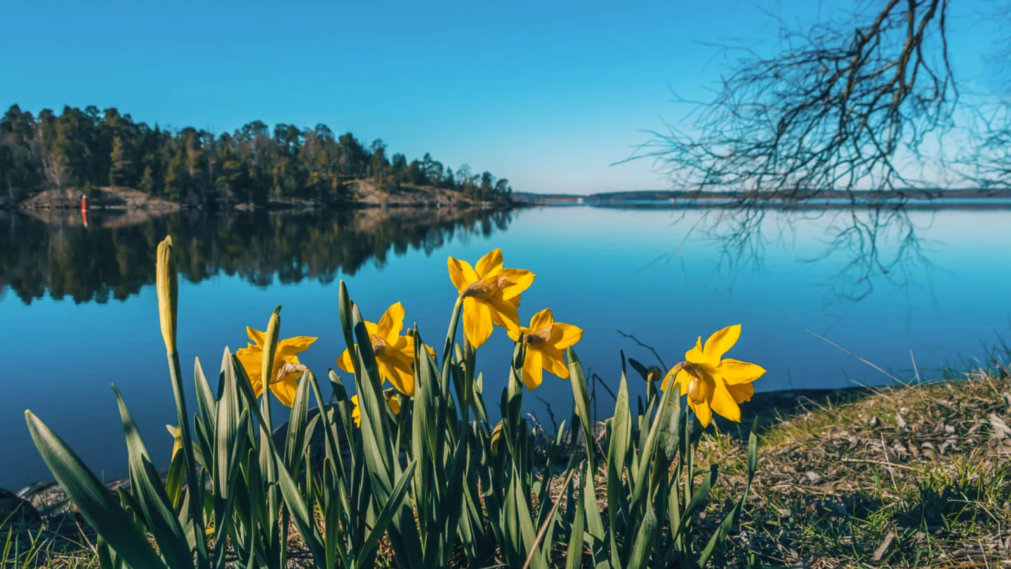 Påsklov i Sverige - Foto Shutterstock / VisitTo